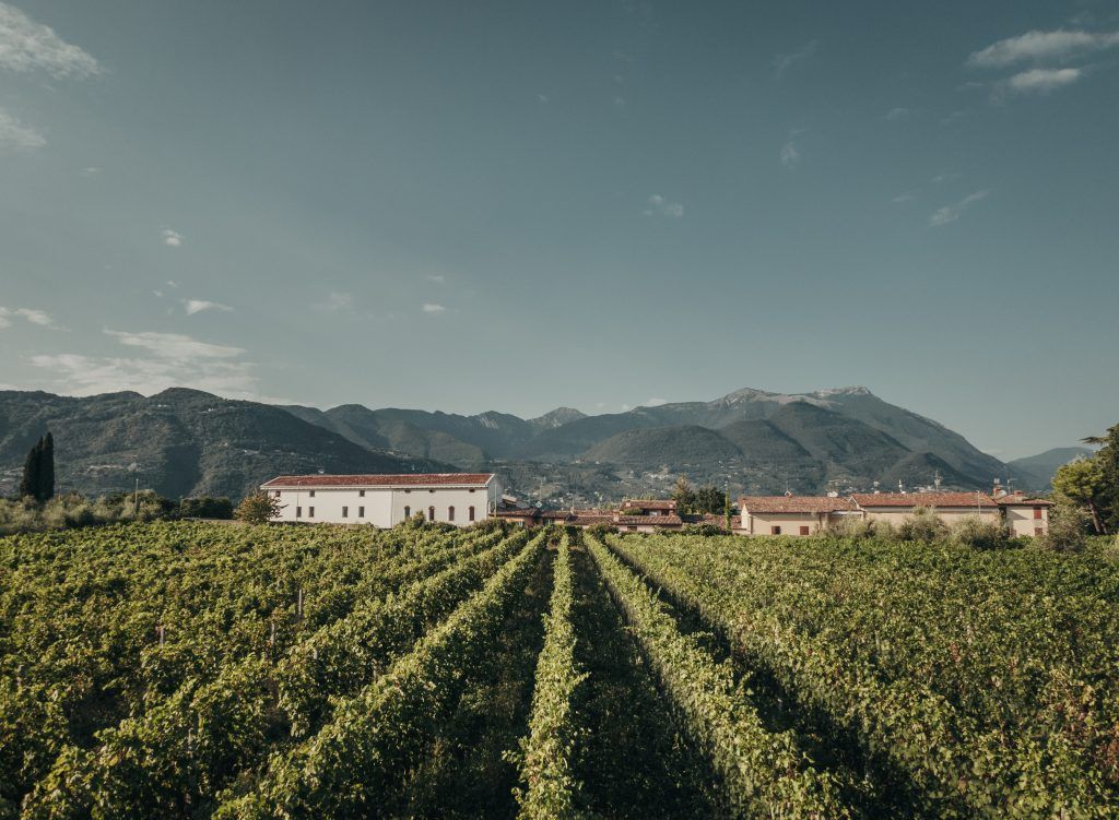 italian wine region