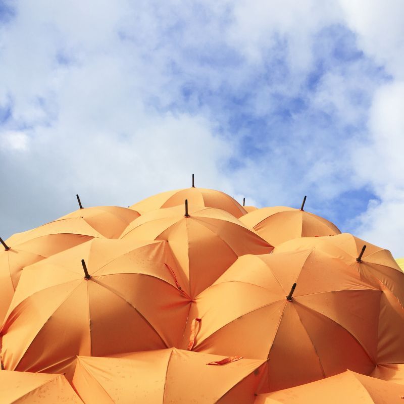 Come rain or shine, these are the best luxury umbrellas to shop