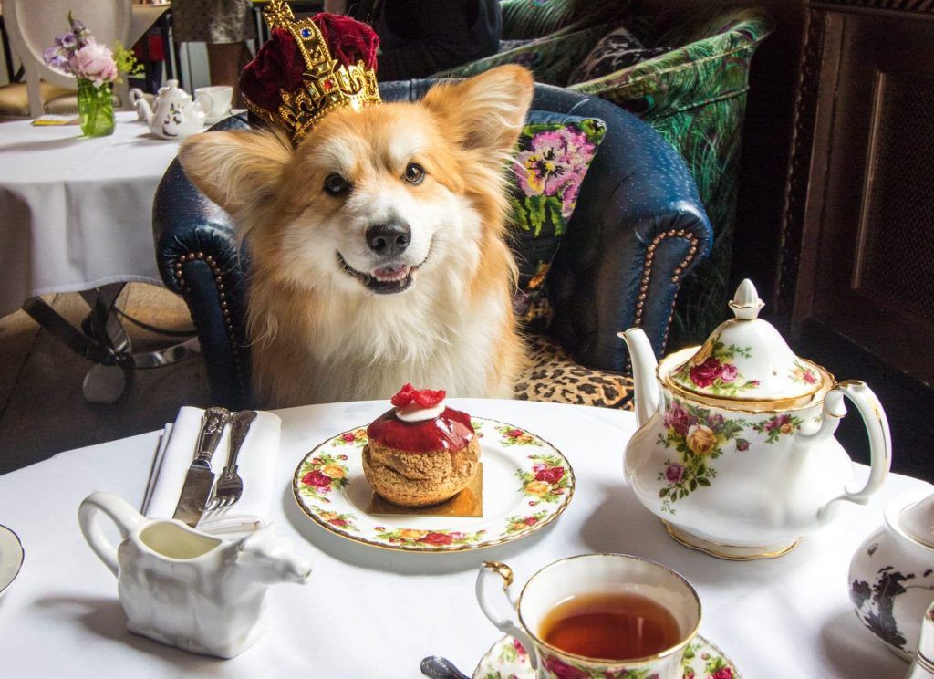Here’s a complete guide to afternoon tea etiquette