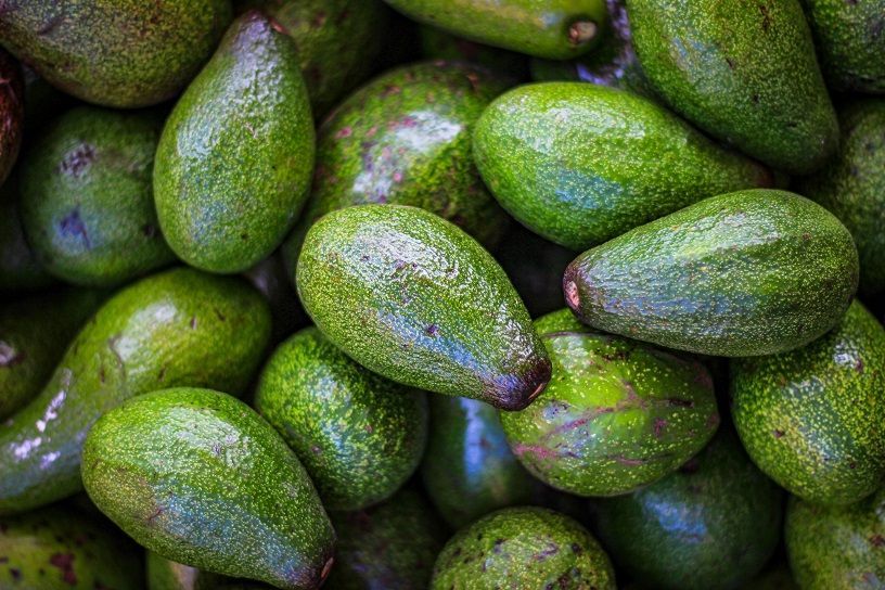 choosing an avocado