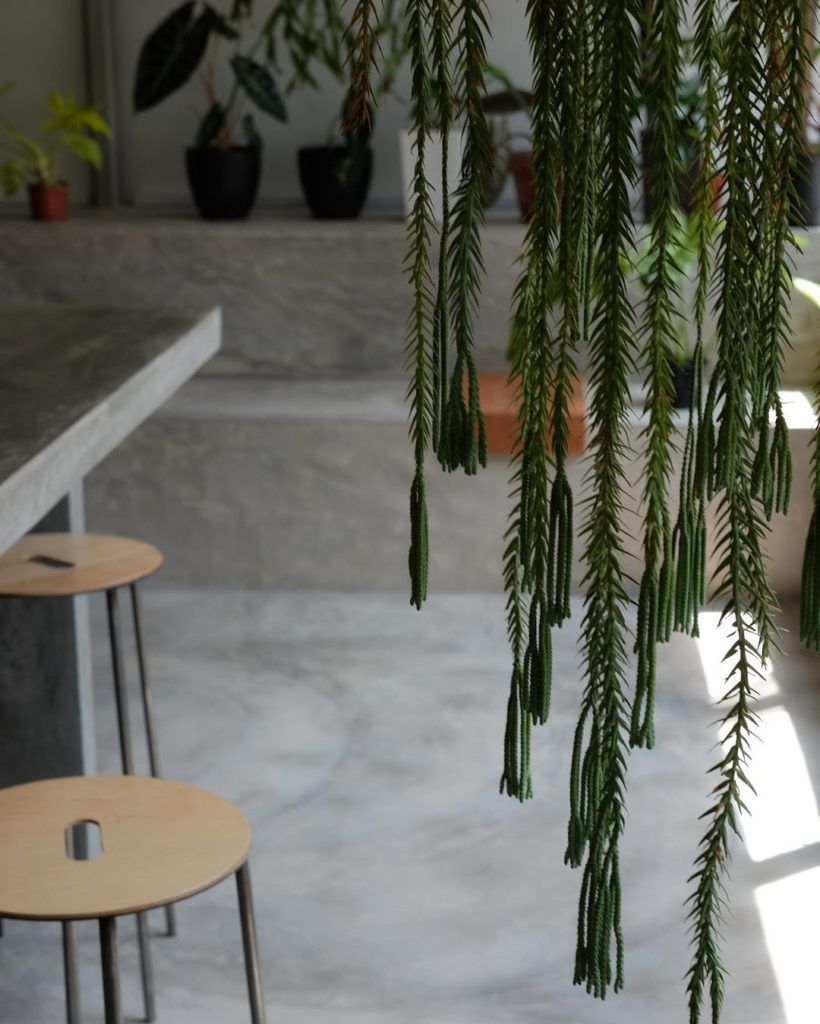 nature cafes