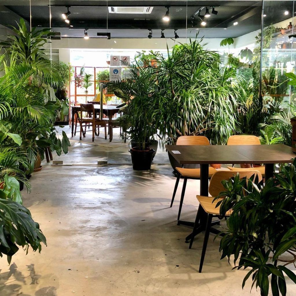 nature cafes