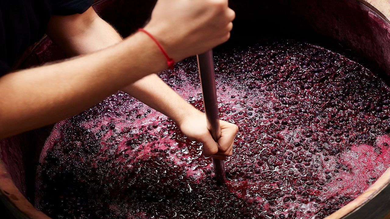 Natural wine 101: An explainer and why you should try it