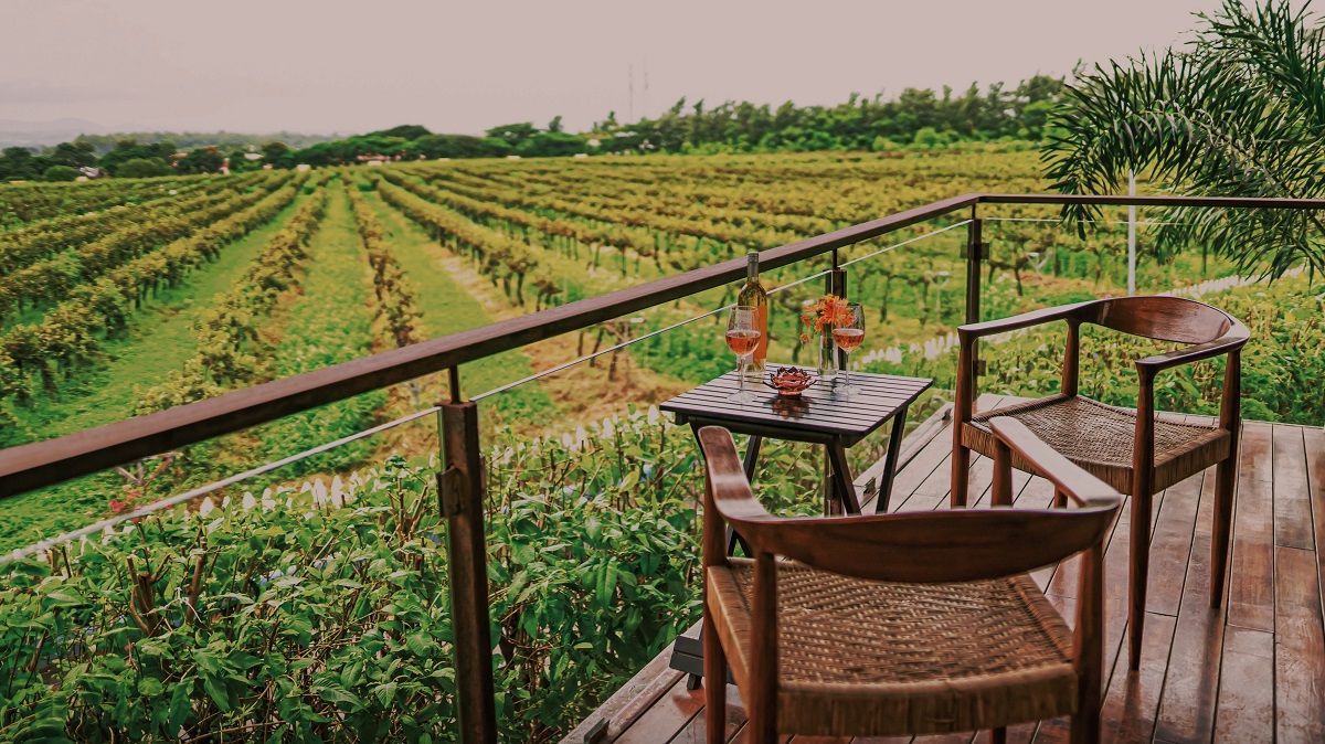 meilleurs vignobles d'Asie