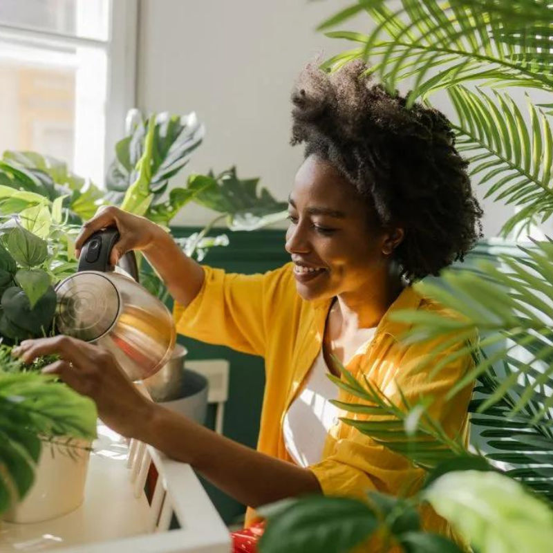 The best—and worst—times to water indoor and outdoor plants, according to gardening experts