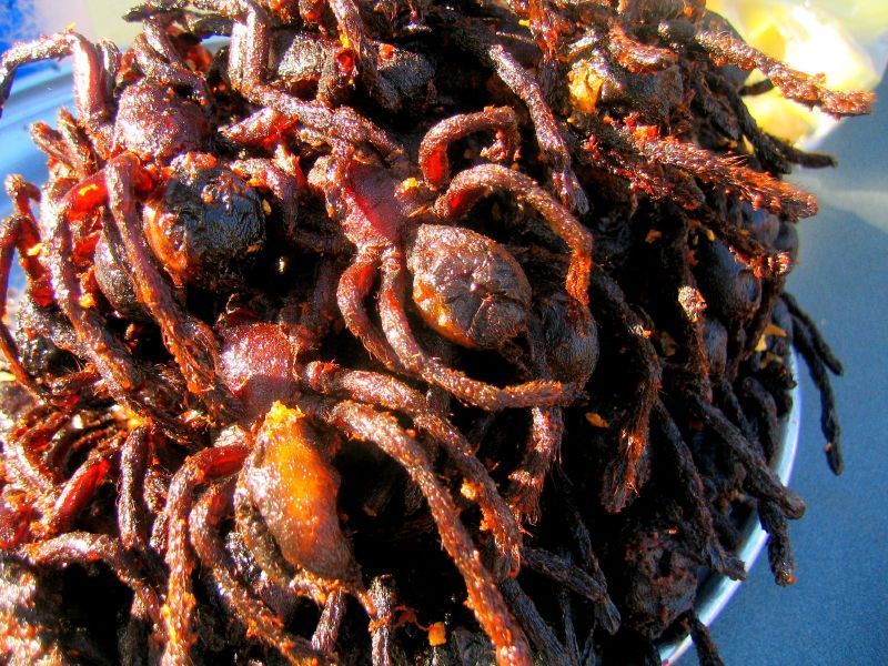 Fried Spider Weird foods