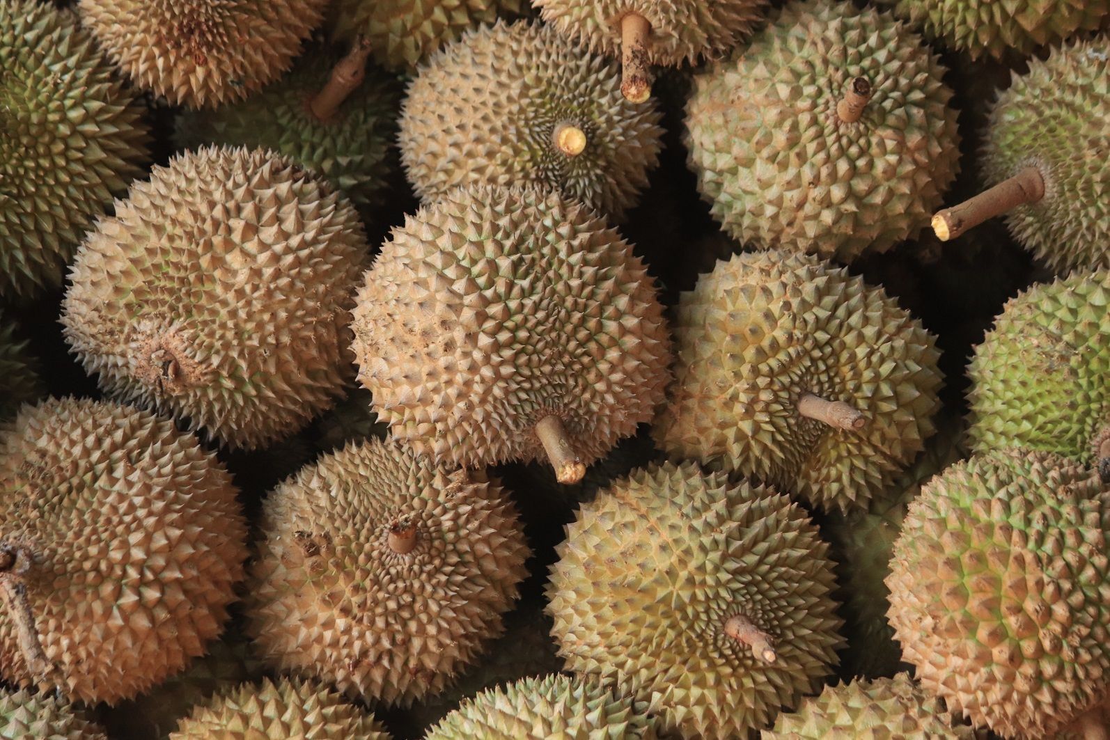 Durian Weird foods