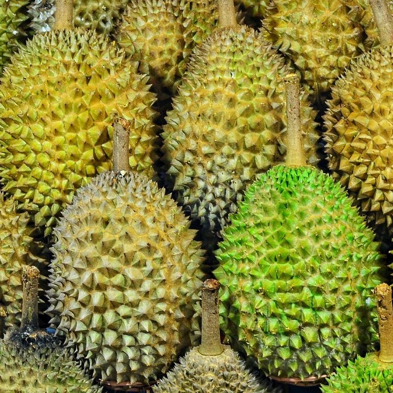 The most unconventional foods and dishes around the world