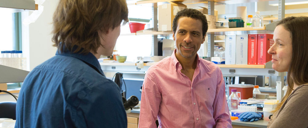 The Howard Hughes Medical Institute (HHMI)