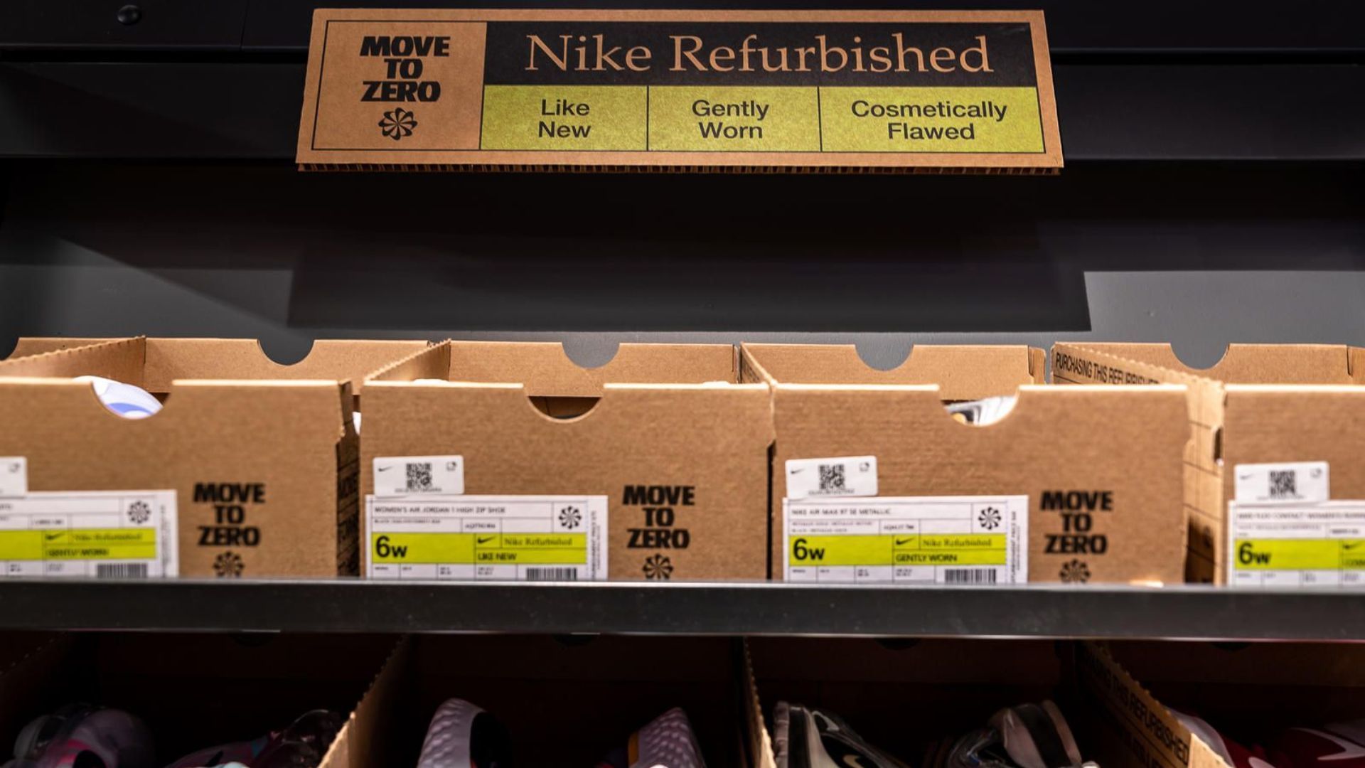 Companies fighting climate change: Nike