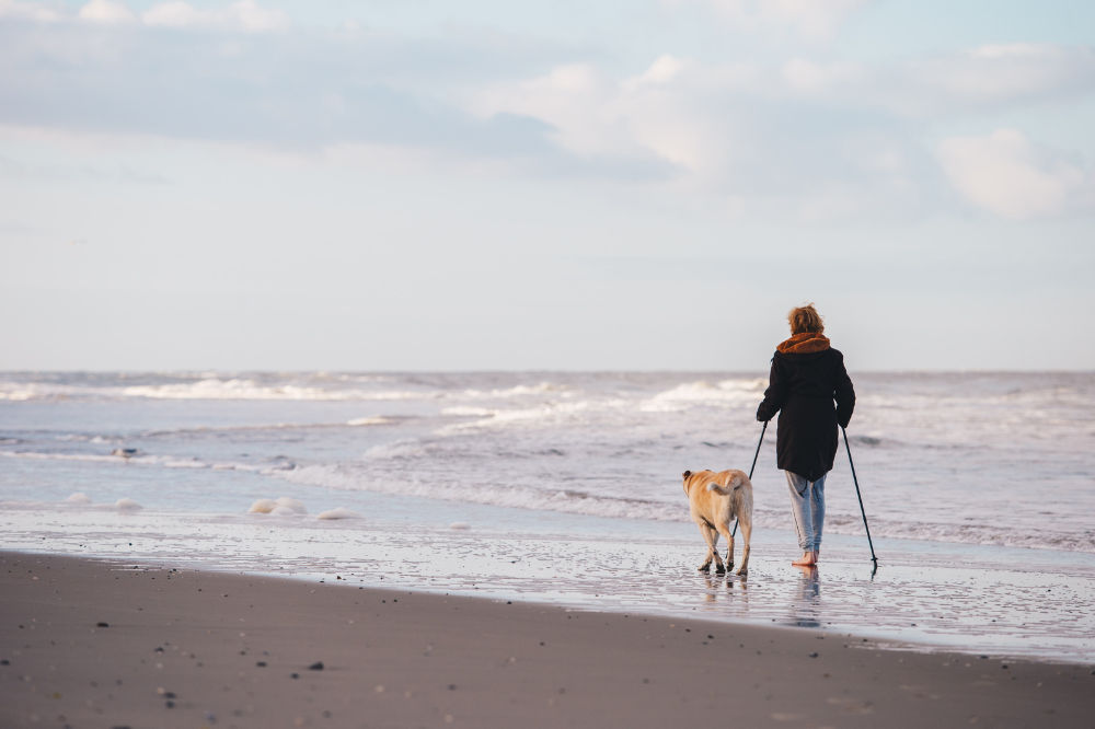 nordic walking