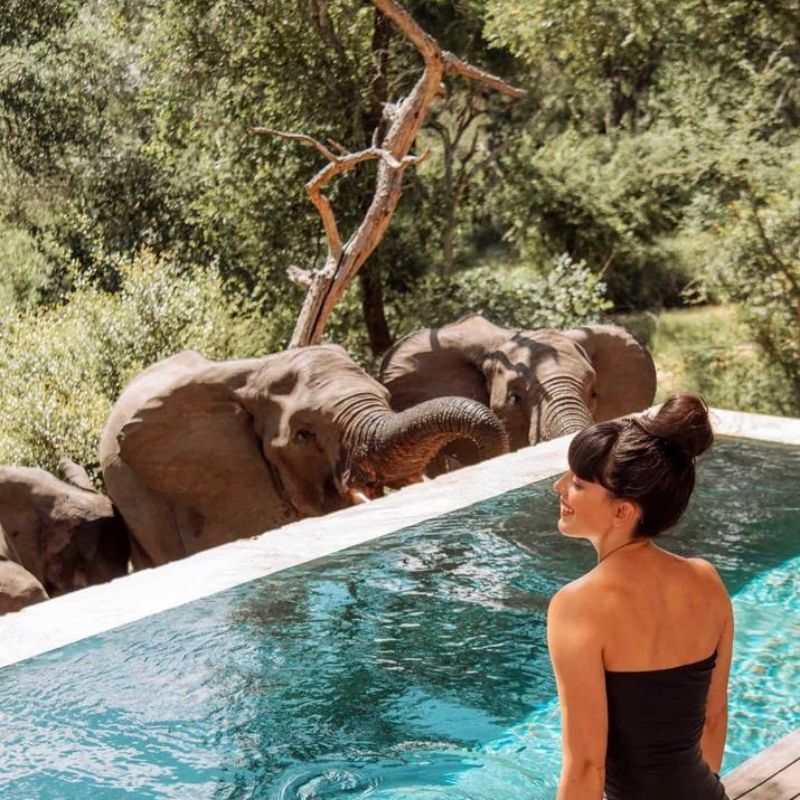 Visit these luxury resorts and safari lodges amid wilderness for an unforgettable experience