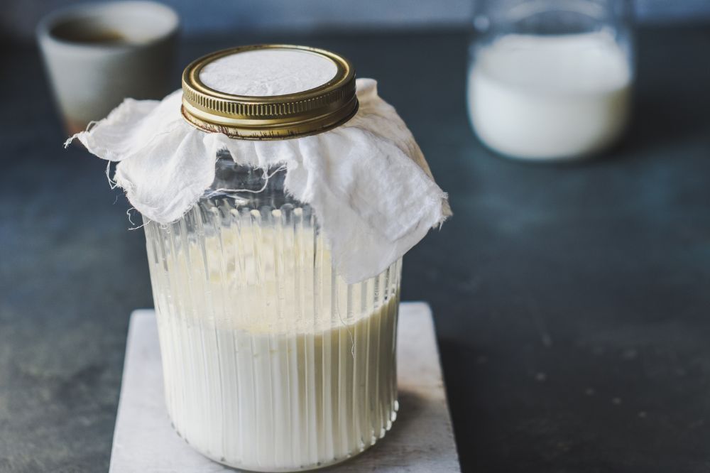 kefir benefits