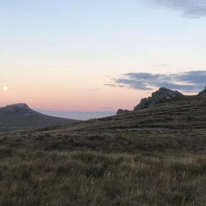 Heading to Antarctica? Don’t skip the gin distillery in the Falkland islands