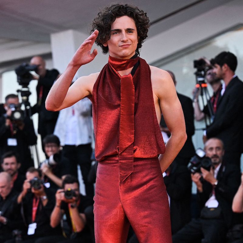 Bob Dylan biopic: Timothée Chalamet to star and sing