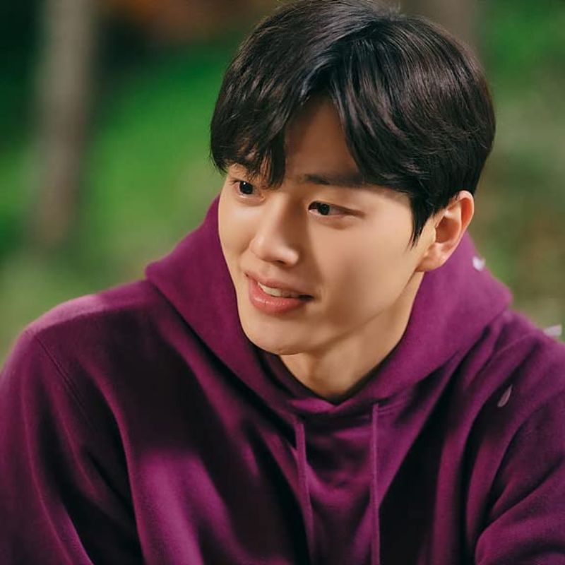Popular K-drama male leads that are walking red flags