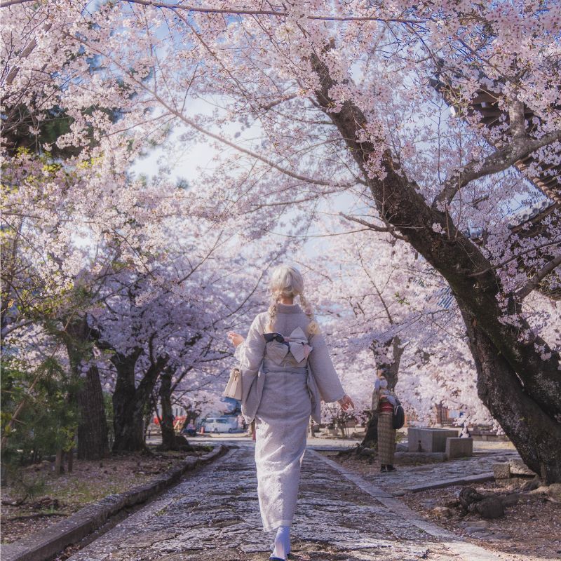 Kyoto travel guide: Your one-stop guide for exploring Japan’s scenic city