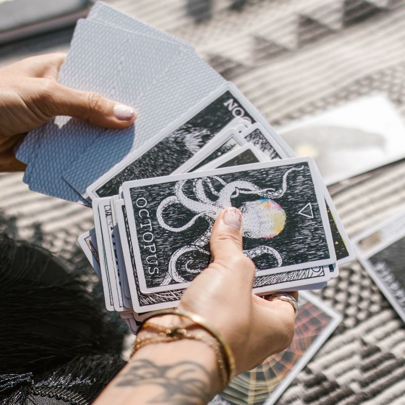 Hawk, lion or snake — which is the spirit animal for your zodiac sign?