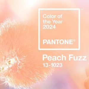Peach Fuzz is the 2024 Color of the Year selected by Pantone