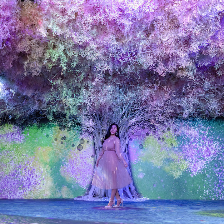 Japan’s <i>Naked Flowers</i> interactive art exhibition is blooming in Hong Kong this April
