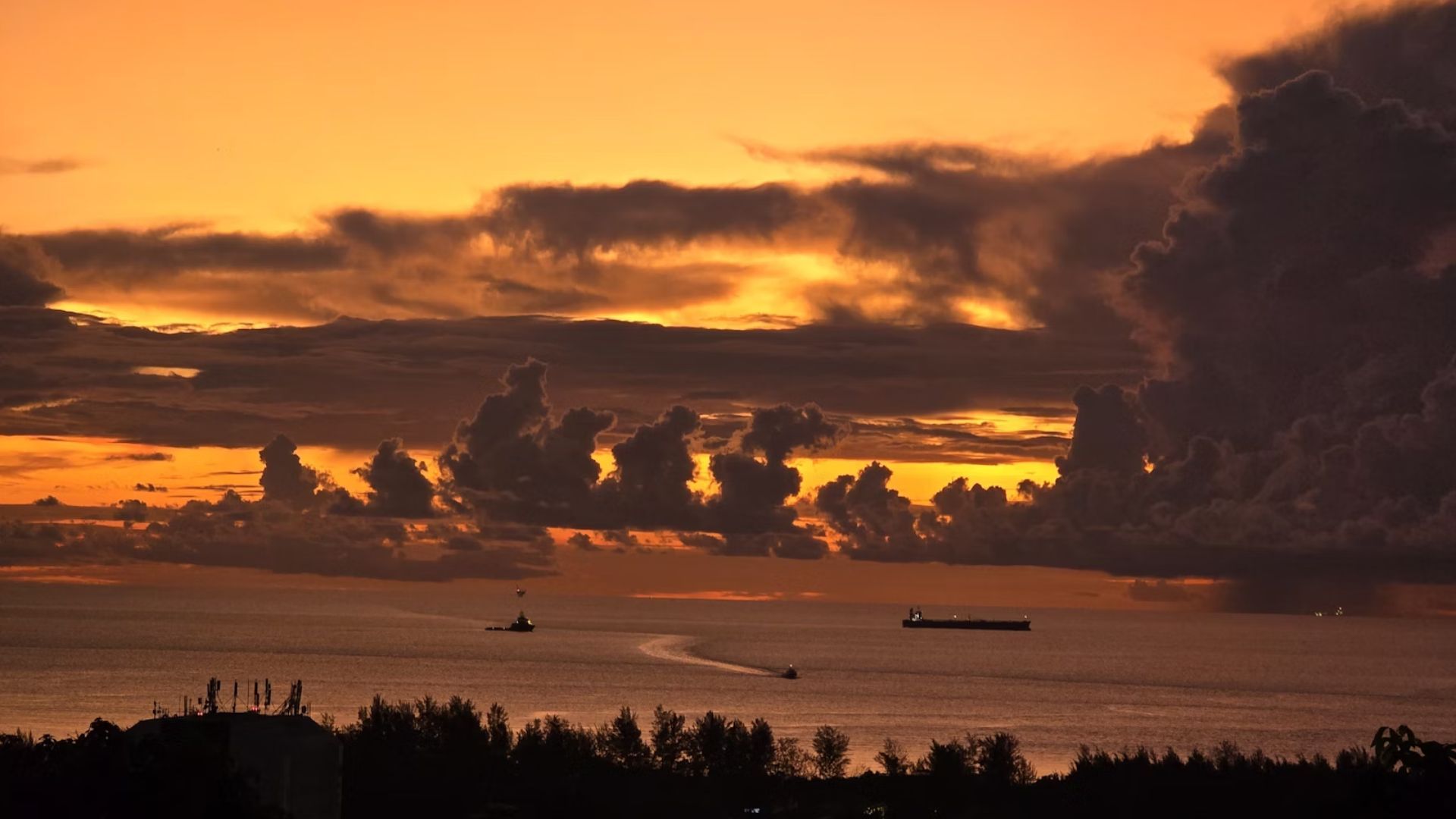 老太太 - 加拿大山, 美里砂拉越, 马来西亚