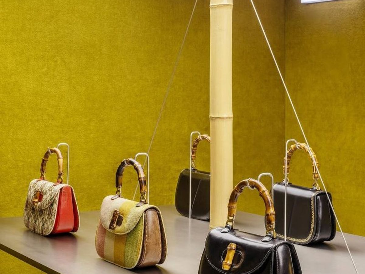 bamboo-1-e1744281675334.jpeg?