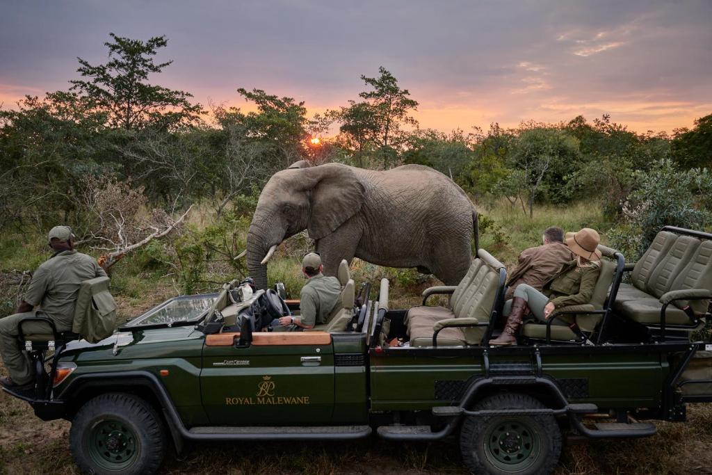 The countries shaping the new era of luxury African safaris
