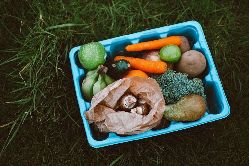 Urban gardening kits to grow your own produce
