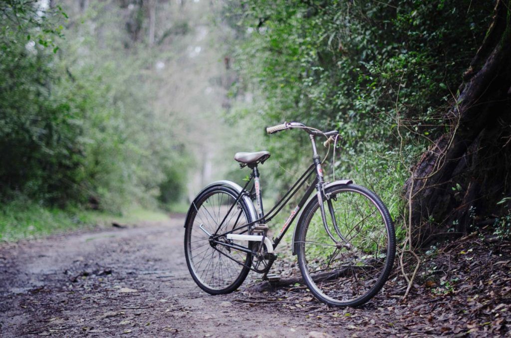 Cycling trails in Singapore for a dose of fresh air