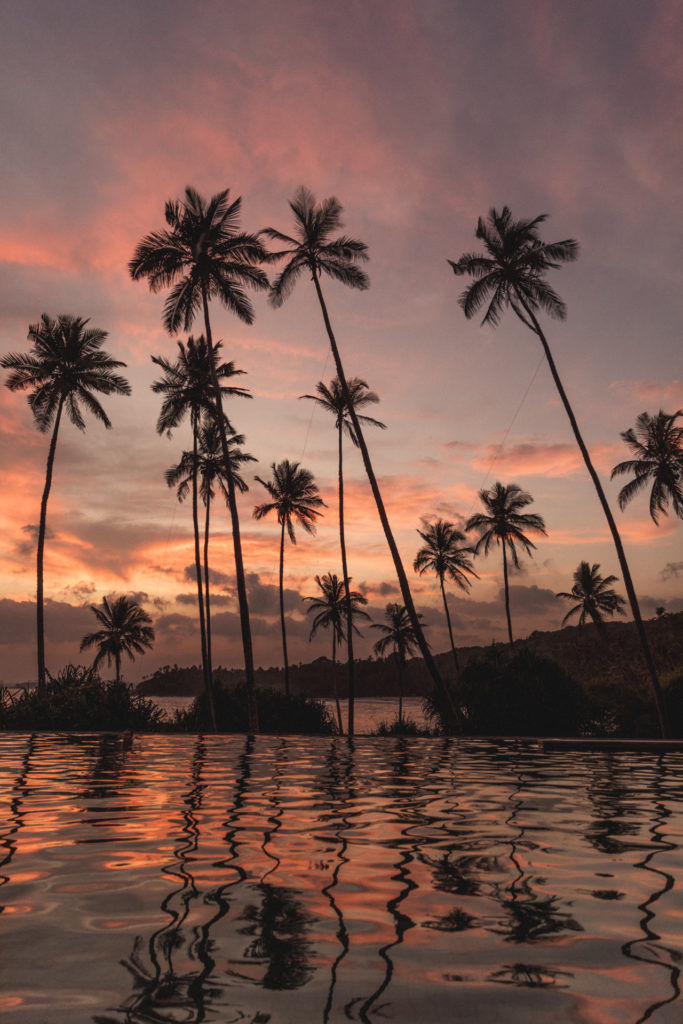 A guide to sultry South Sri Lanka for when we can travel again