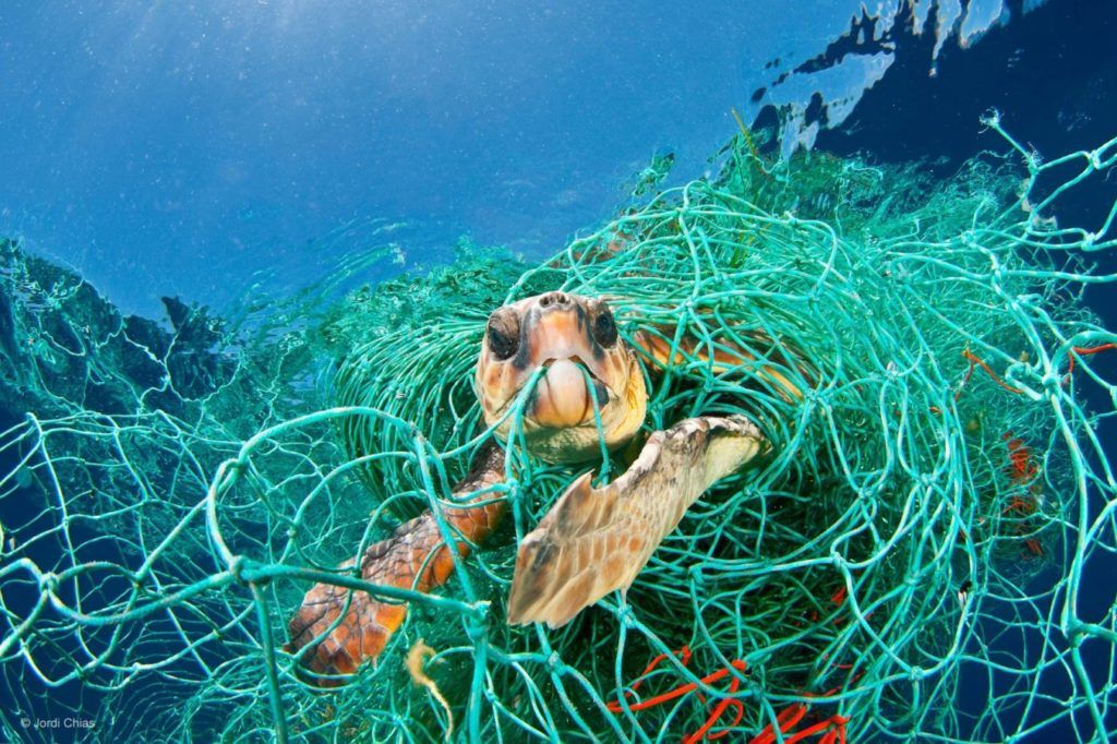 Get involved with climate conversations at ArtScience Museum’s ‘Planet or Plastic?’ exhibition