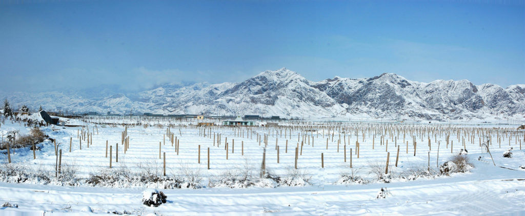 How Ningxia is overturning all doubts about Chinese wines