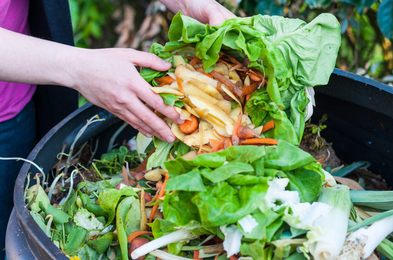 From Seoul to Dubai, some of the world’s initiatives for cutting food waste