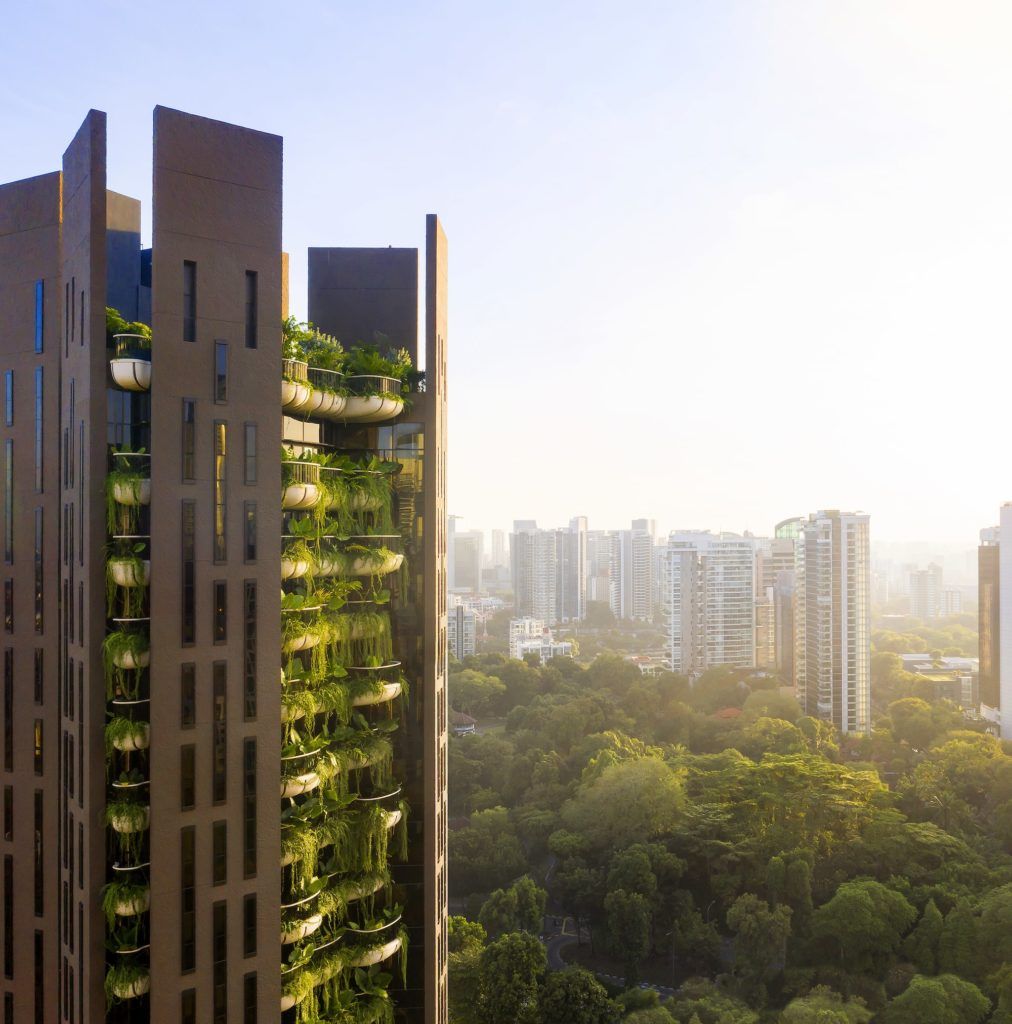 Eden at Draycott Park: British designer Thomas Heatherwick on his vision of biophilia