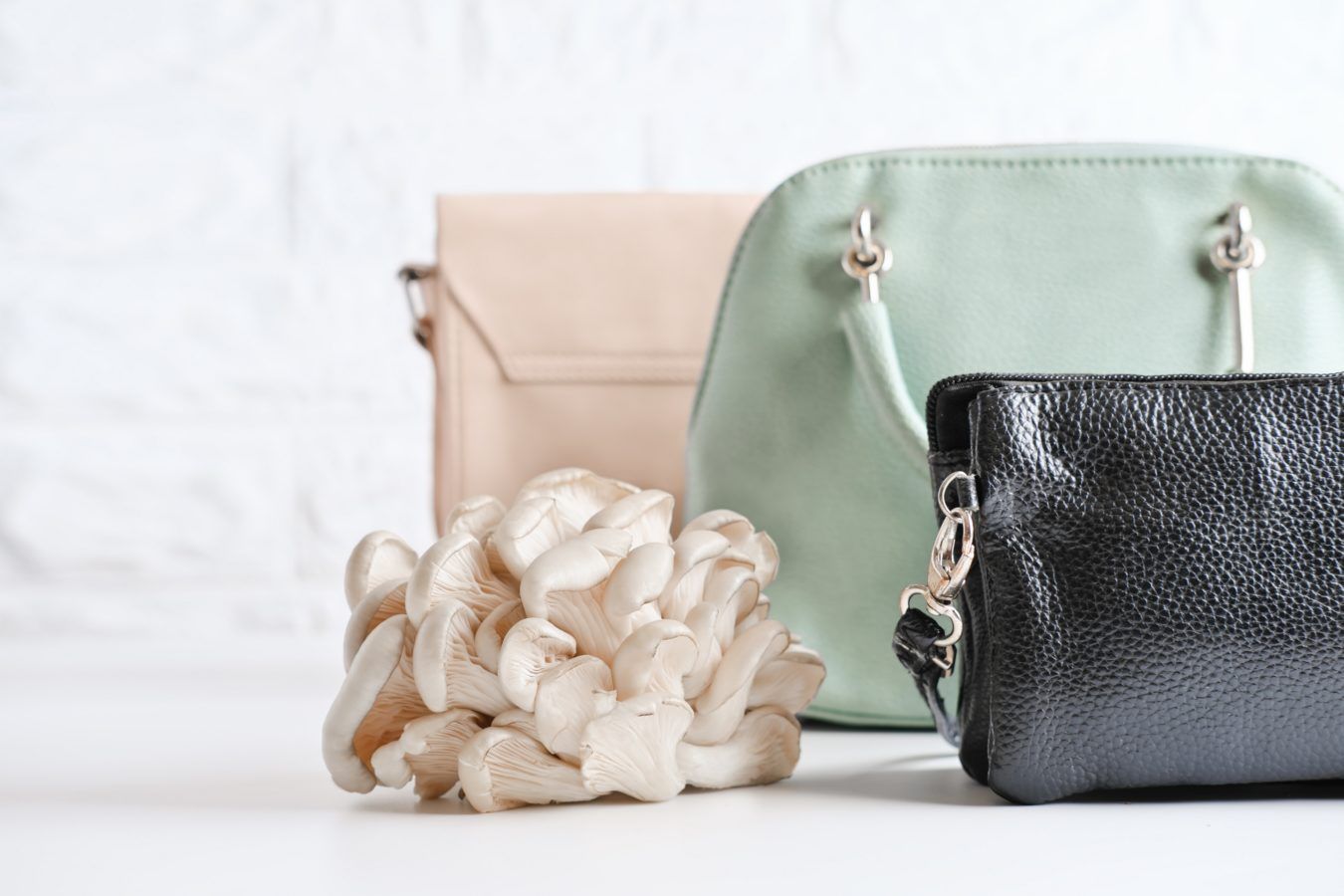 The latest on-trend ethical and sustainable alternative to animal leather comes from mushrooms