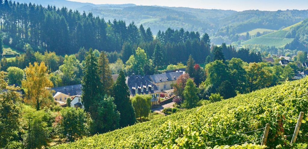 Oldest wineries and vineyards in the world