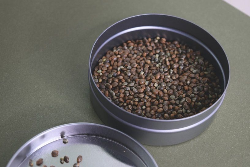 Hemp Seed Benefits