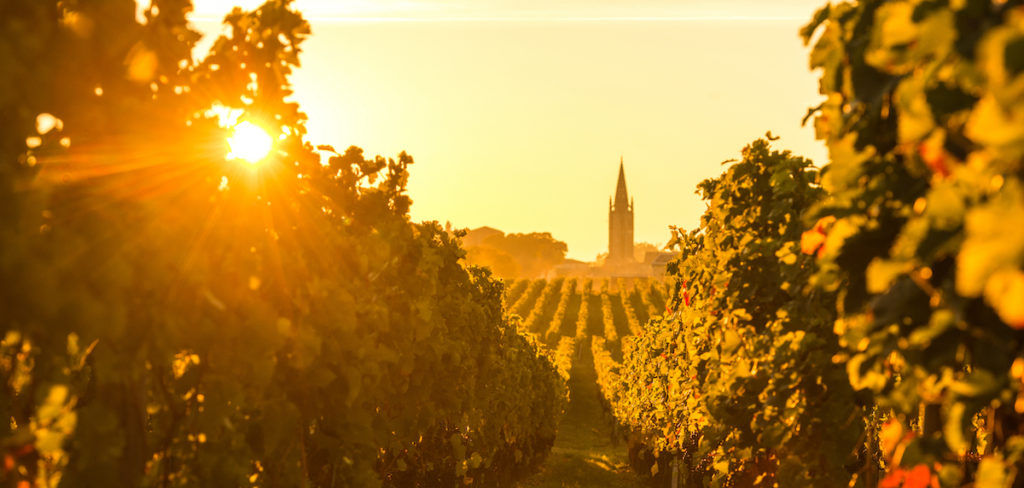 Superlative Bordeaux gives 2020 a positive twist