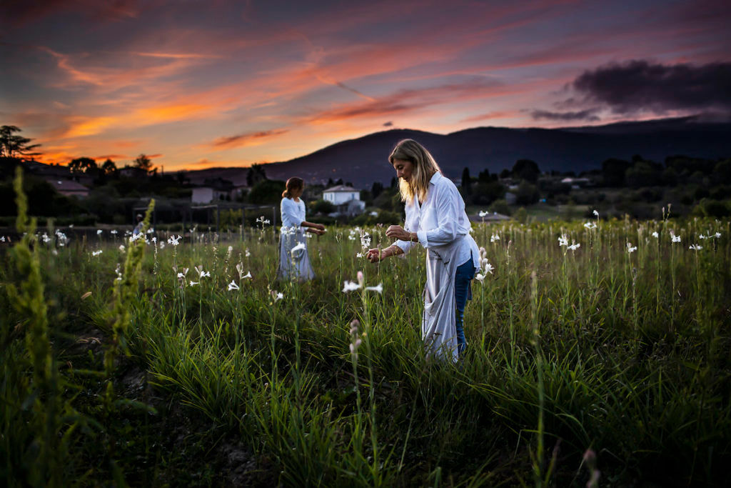 Sustainable scents: What it means to make a “green” perfume