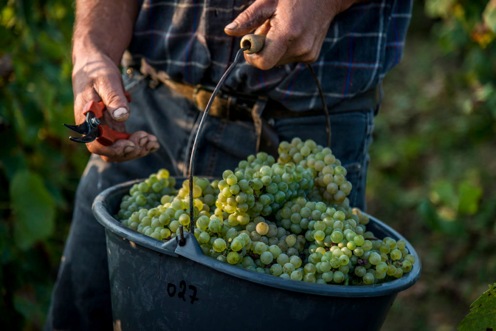 Sparkling wines: A guide to age-old region-specific bubbles from France, Germany, Austria, Spain and Italy
