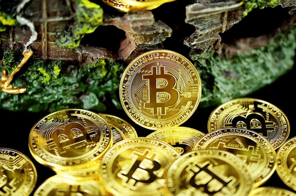 The crypto lifestyle of the future