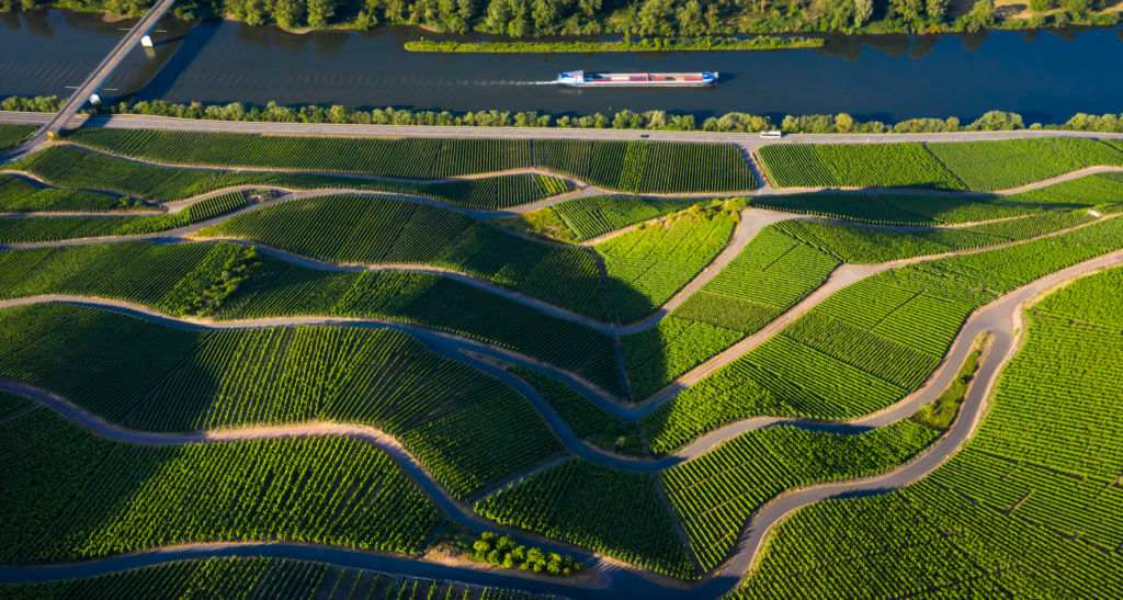 The Good & The Great: The best German wines of the year