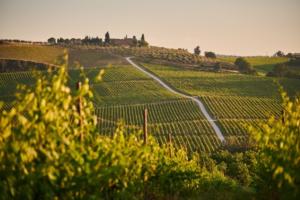 These are the most interesting wine trends for 2022
