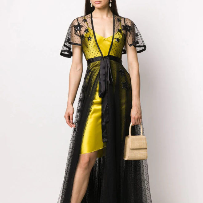 Annamode Embroidered Sheer Dress