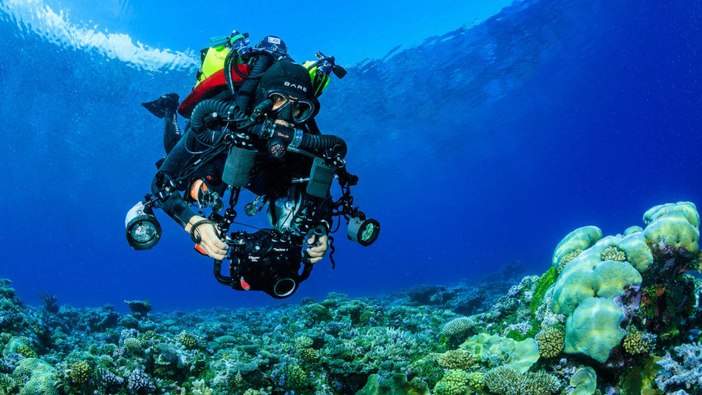 2021 Rolex Awards Laureate Luiz Rocha on protecting deep mesophotic reefs