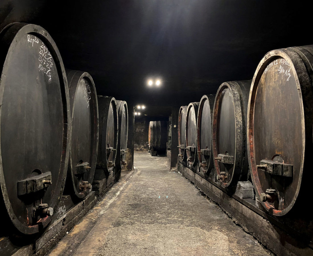 Tasting the highest-rated Rhône wines with critic Stuart Pigott