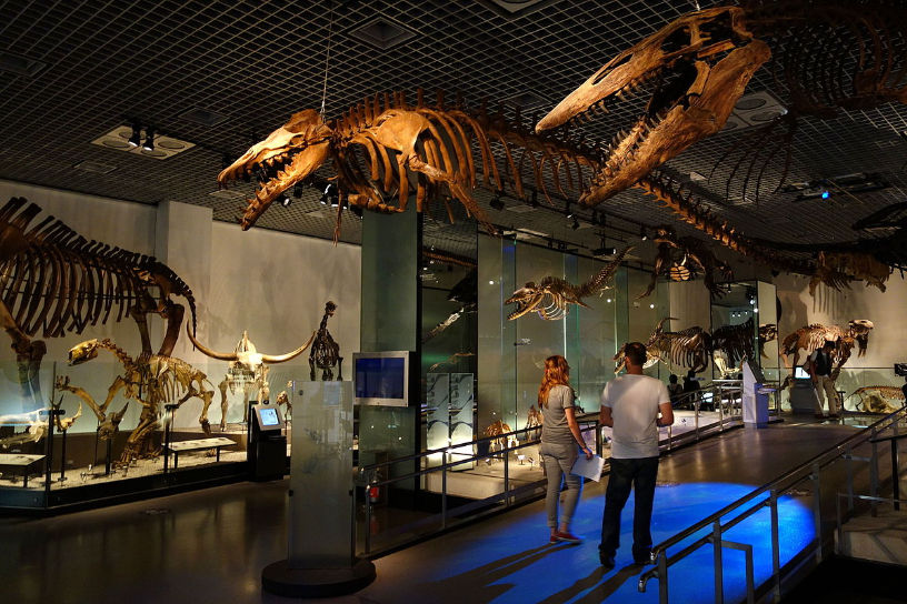 Four Destination Museums in Asia You Must Visit Before You Die – Popspoken