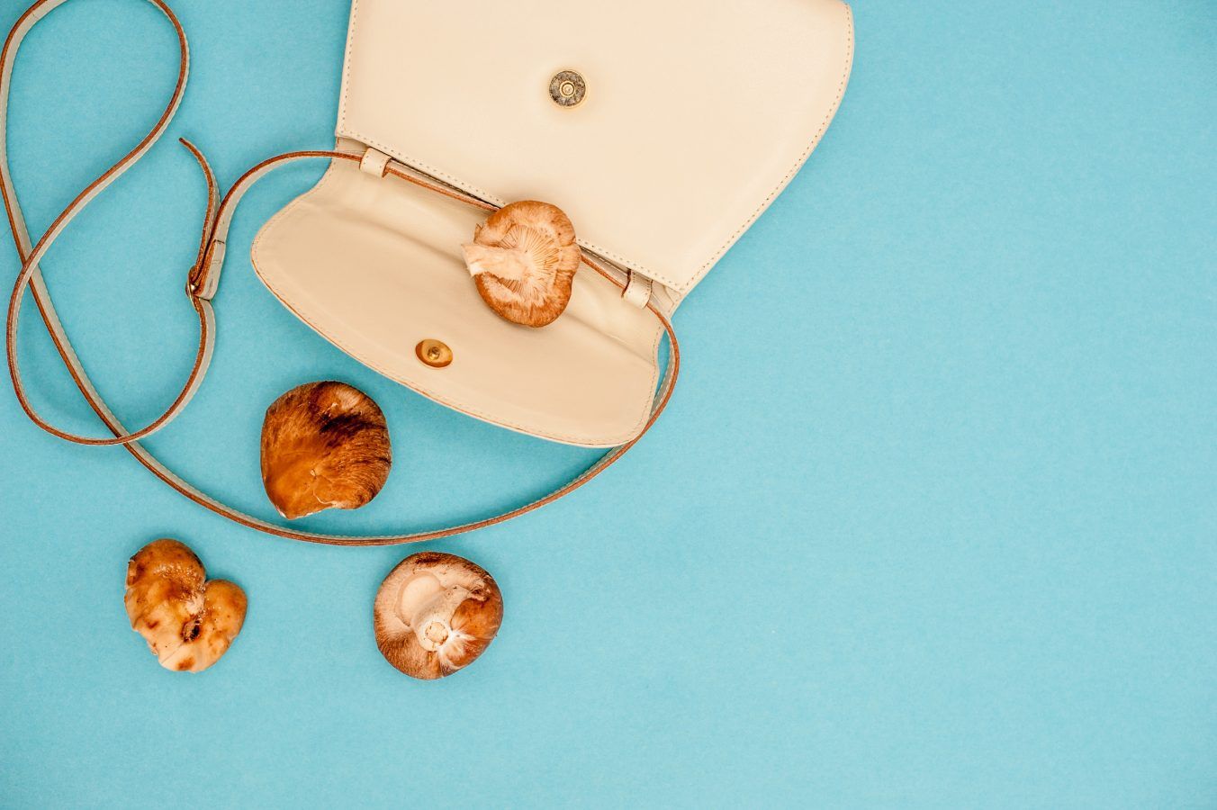 How mushrooms are changing the face of fashion