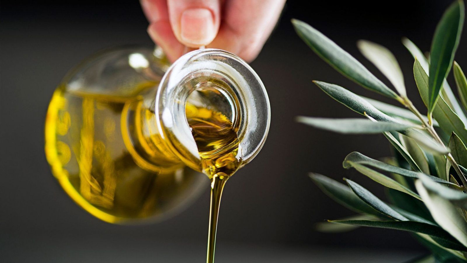 How to select the best extra-virgin olive oil: Tips from olive oil sommeliers