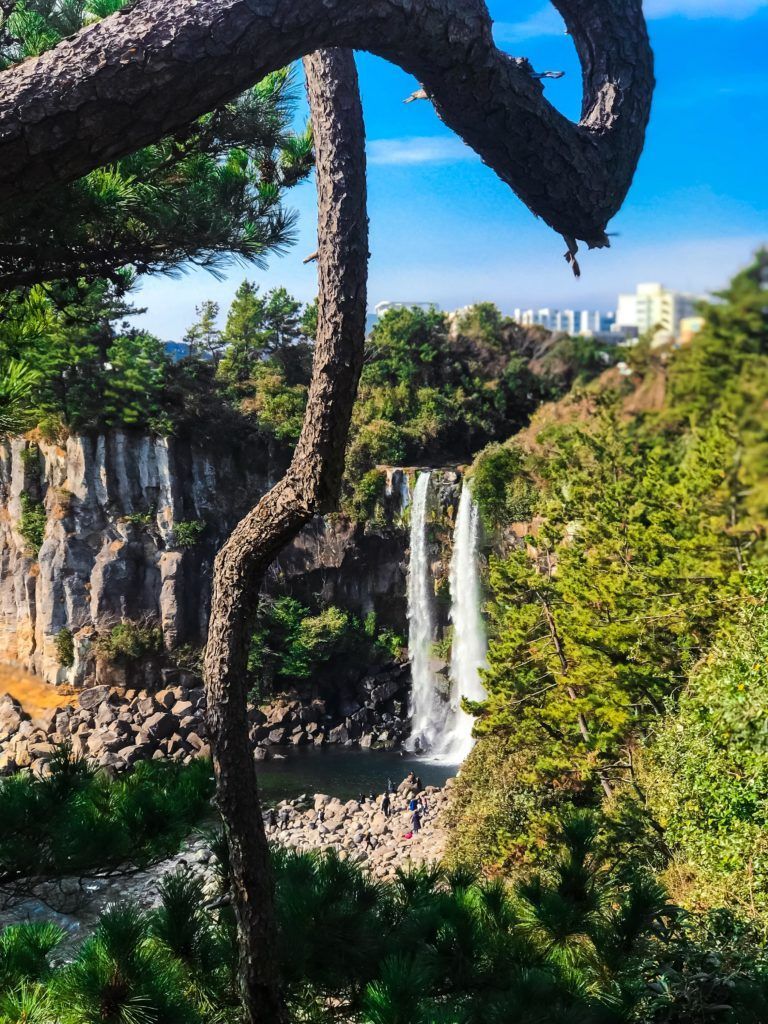 Jeongbang waterfall sea women ole trail southwest jeju jeju island stay in jeju seongsan